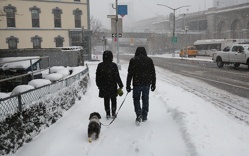 Snowstorm : 2021 : New York : Personal Photo Projects :  Richard Moore Photography : Photographer : 
